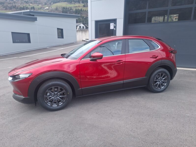 MAZDA CX-30 G140 PRIMELINE voll