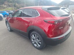 MAZDA CX-30 G140 TAKUMI AUT voll
