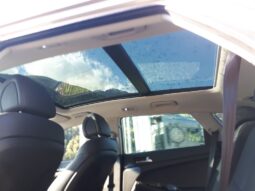 HYUNDAI Tucson Platin Launch 2,0 CRDi 4WD MT 820l voll