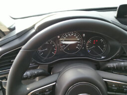 MAZDA CX-30 G140 CENTER DESI voll