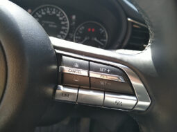 MAZDA CX-30 G150 HOMURA AUT voll