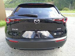 MAZDA CX-30 G140 AUT HOMURA voll