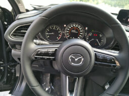 MAZDA CX-30 G140 AUT HOMURA voll