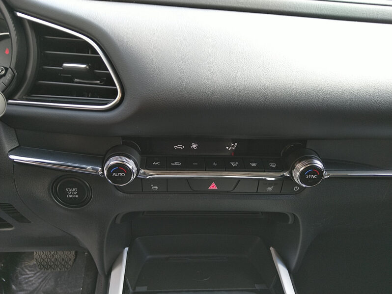 MAZDA CX-30 G140 AUT HOMURA voll