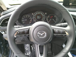 MAZDA CX-30 X186 AWD HOMURA MT voll