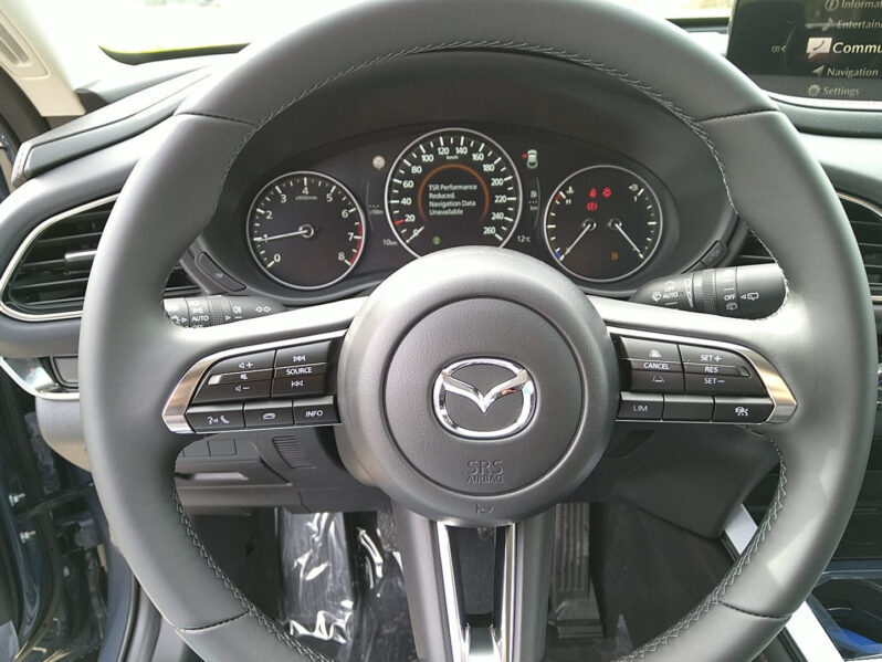 MAZDA CX-30 X186 AWD HOMURA MT voll