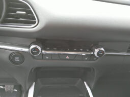 MAZDA CX-30 X186 AWD HOMURA MT voll