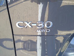 MAZDA CX-30 X186 AWD HOMURA MT voll
