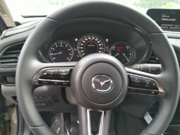 MAZDA CX-30 X186 AWD NAGISA MY26 voll
