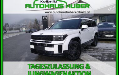 HYUNDAI Santa Fe (MX5) Calligraphy 1.6 T-GDI PHEV 4WD s5py1