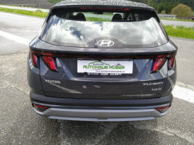 HYUNDAI Tucson NX4 Smart Line 1,6 T-GDi HEV 4WD Winterpaket