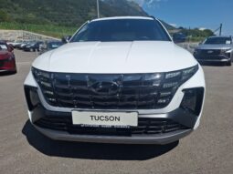 HYUNDAI Tucson NX4 N-Line 1,6 CRDi 4WD DCT 48V SITZPAKET voll