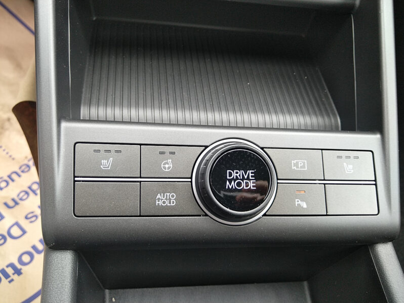 HYUNDAI KONA EV (SX2) GO 64,8 kWh Tech WP voll