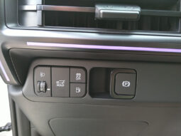 HYUNDAI Santa Fe (MX5) Calligraphy 1.6 T-GDI PHEV 4WD voll