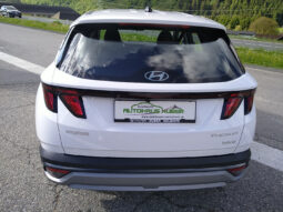 HYUNDAI Tucson NX4 Smart Line 1,6 T-GDi HEV 4WD Winterpaket voll