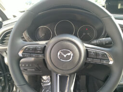 MAZDA CX-30 G140 Homura Plus MY27 voll