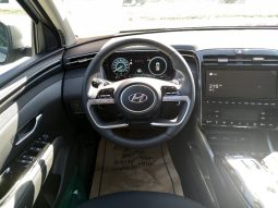 HYUNDAI Tucson NX4 Trend Line 1,6 CRDi 4WD 48V DCT voll