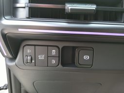 HYUNDAI Santa Fe (MX5) Calligraphy 1.6 T-GDI PHEV 4WD voll