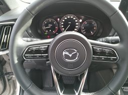 MAZDA CX-60 CD254 AUT AWD HOMURA PLUS LEDER SCHWARZ voll