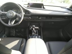 MAZDA 2027  CX-30 2.5L e-SKYACTIV G 140ps 6MT 2WD Homura Plus voll