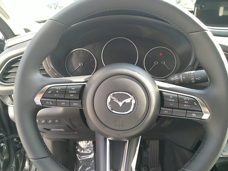 MAZDA 2027  CX-30 2.5L e-SKYACTIV G 140ps 6MT 2WD Homura Plus voll