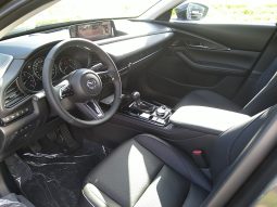 MAZDA 2027  CX-30 2.5L e-SKYACTIV G 140ps 6MT 2WD Homura Plus voll