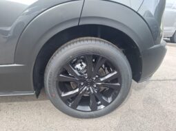 MAZDA CX-30 X186 AUT AWD Makoto voll