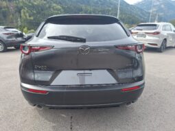 MAZDA CX-30 X186 AUT AWD Makoto voll