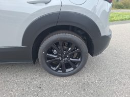 MAZDA 2027  CX-30 2.5L e-SKYACTIV G 140ps 6AT 2WD Makoto voll