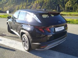 HYUNDAI Tucson NX4 Edition 35 1,6 T-GDi 2WD voll