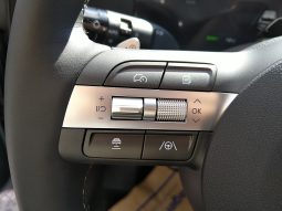 HYUNDAI KONA EV (SX2) Smart Line 48,6 kWh WP Winterpaket voll